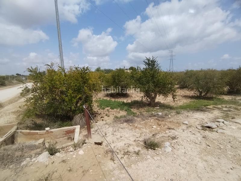 Foto 5eaee5a4-97b1-4a8d-9109-a5cd87c5dddc. Landgut in Albatera