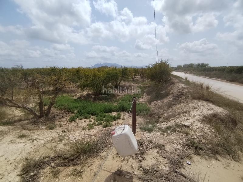 Foto 89ef6319-a0de-4cb1-8c9c-b6534f5c6d87. Landgut in Albatera