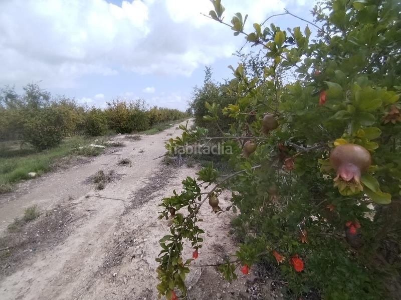 Foto c5ab4c90-5e2f-4789-ac37-6af6d0aececb. Landgut in Albatera