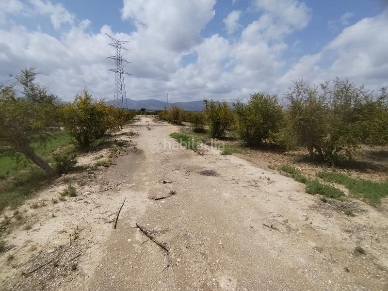 Foto cb93942c-0e72-40b8-b00a-978183865ea5. Landgut in Albatera