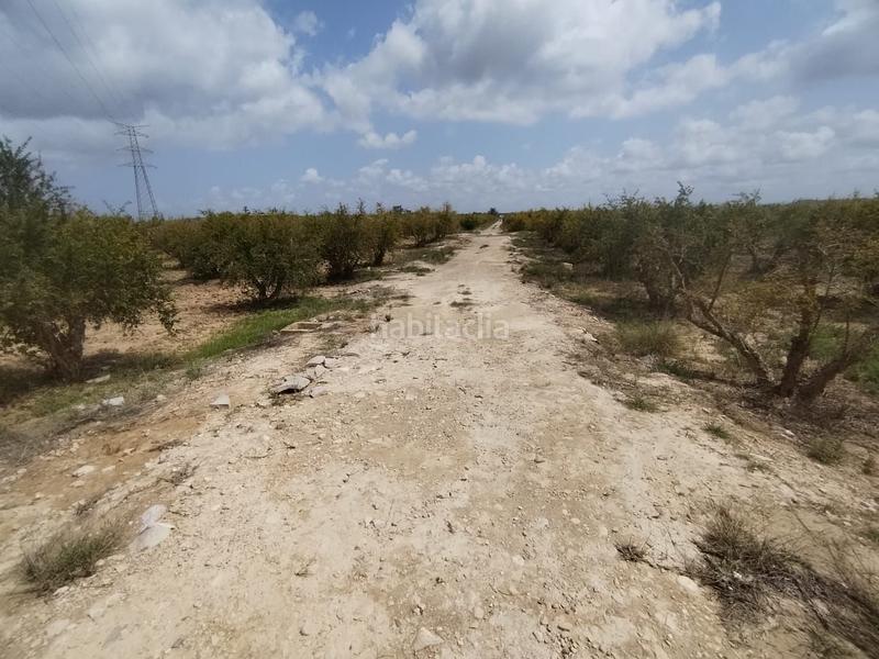 Foto df57122e-0c5d-40f0-af7e-31fe001fc888. Landgut in Albatera