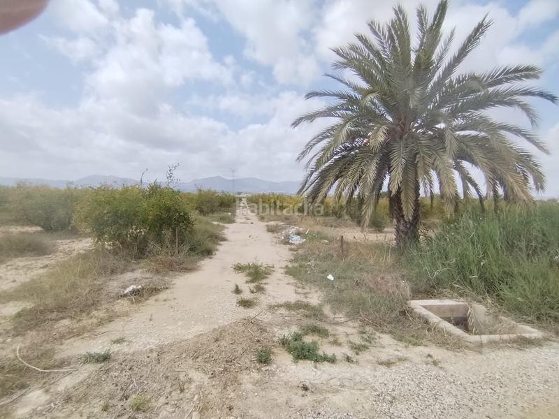 Foto e811b35c-daf7-4ed3-b63e-e10b826a4f2f. Landgut in Albatera