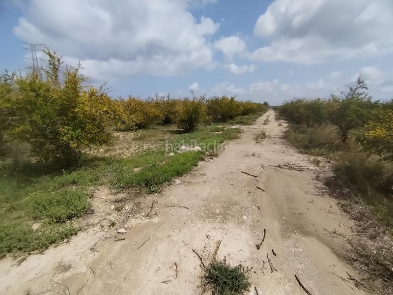 Foto fc12d814-48d1-46da-ba8f-fac4afa588ec. Landgut in Albatera