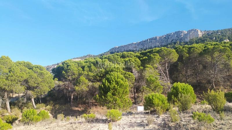 Foto 42488fc1-8ebe-404c-a693-4675fca31630. Terreno residenziale in Biar