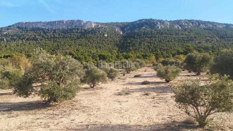 Foto 65bb69d2-ba99-4977-8592-75a6f0d87460. Terreno residenziale in Biar