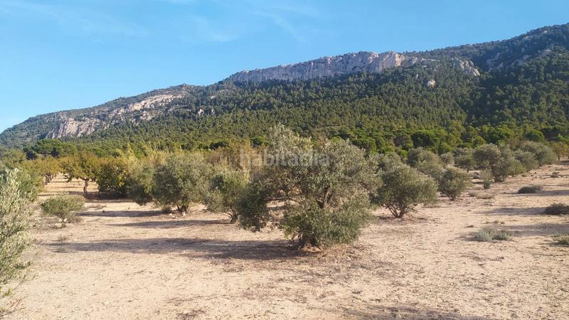 Foto 86f91258-9a84-45dc-8376-a2ffae1a016f. Terreno residenziale in Biar