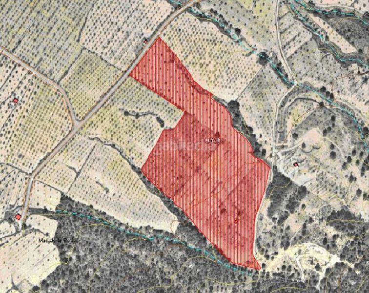 Foto 98be2931-20a0-4f61-b8fa-2b61fa3ced77. Terreno residenziale in Biar