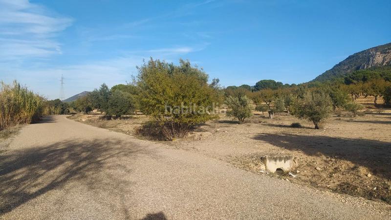 Foto cf778e50-a09f-40a2-a907-7c3043645d2d. Terreno residenziale in Biar