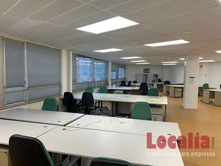 Bureau  Agirre lehendakariaren etorbidea. Perfectas oficinas luminosas en bilbao, vizcaya.