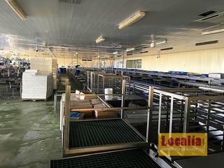 Nau industrial a El Callejo - La Pesquera - La Arenosa. Fábrica de conservas de alimentos en cantabria