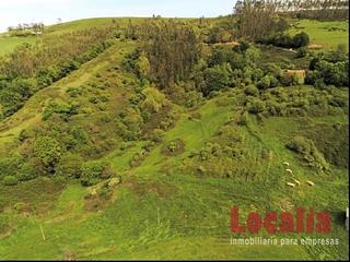 Finca rústica  238. Extenso suelo a buen precio en reocin, cantabria