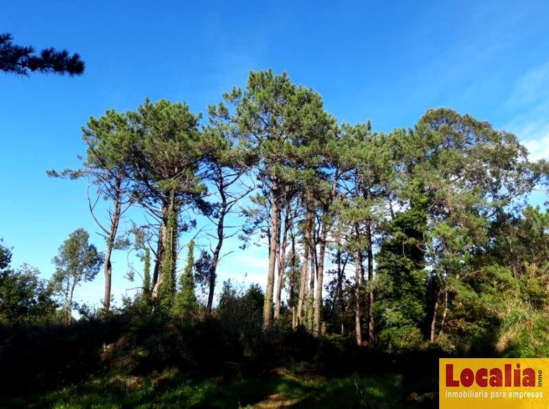 Foto 12259da6-6e3f-41f6-ac5c-e45b55bac264. Wohngrundstück in Cudillero