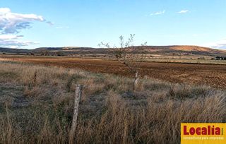Finca rústica en De la seca. Extenso terreno en pomar de valdivia, palencia