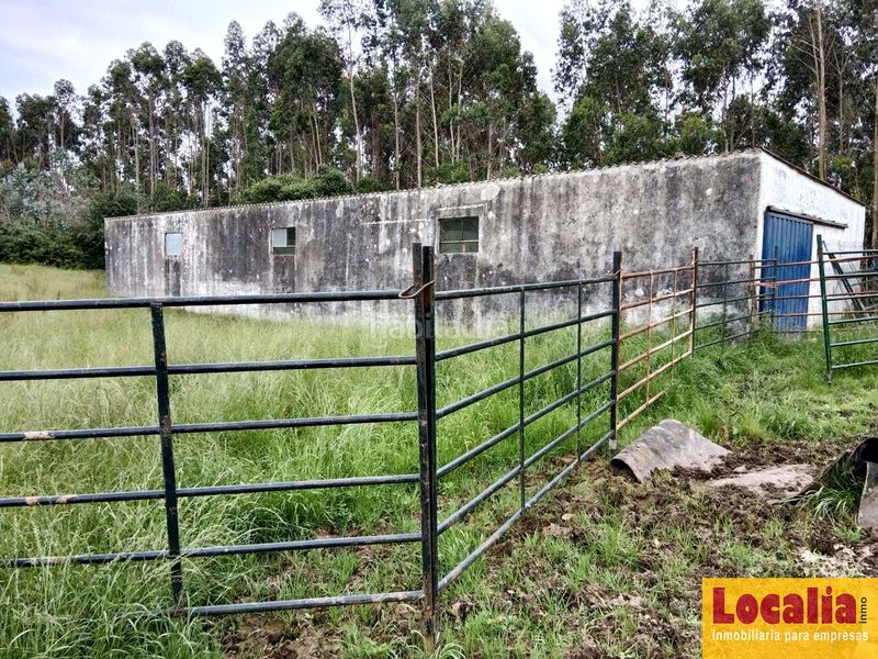 Foto 14d1dfe4-e066-4548-aeb0-9bda2f93b271. Finca rústica a Oruña Piélagos