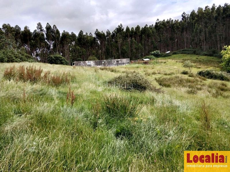 Foto 821f6a2b-06b3-4500-92d9-8181a964be96. Finca rústica a Oruña Piélagos