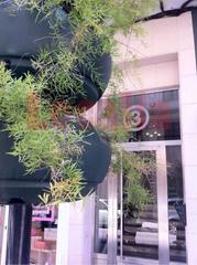 Affitto Locale commerciale  Calle santa clara. Localia inmobiliaria te ofrece local comercial totalmente acondi