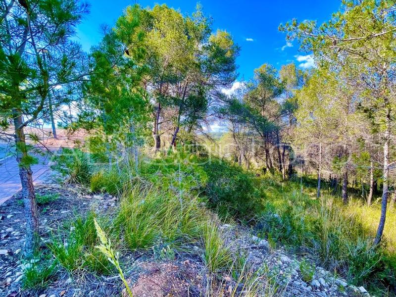 Foto 814c019c-d34c-4285-905c-9097b1df5198. Terreny residencial a carrer fluvià 4 a Mas Alba Sant Pere de Ribes