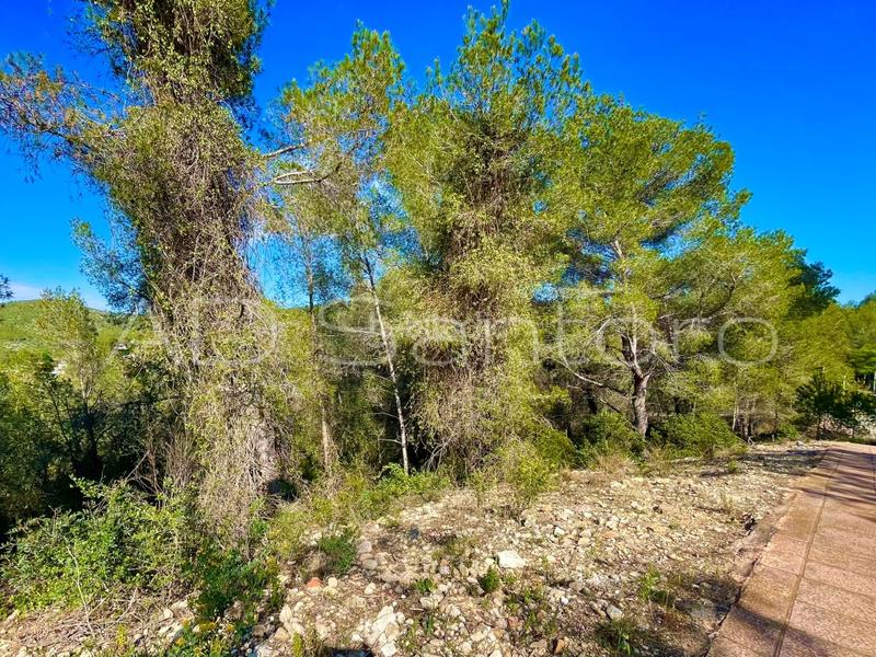 Foto d1fbf838-547e-4117-9324-ef6e0a1f9996. Terreny residencial a carrer fluvià 4 a Mas Alba Sant Pere de Ribes