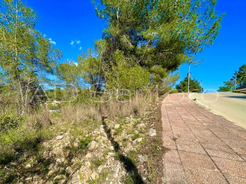 Foto dca35005-a5cf-4e46-9092-fb84ac2fc8e1. Terreny residencial a carrer fluvià 4 a Mas Alba Sant Pere de Ribes