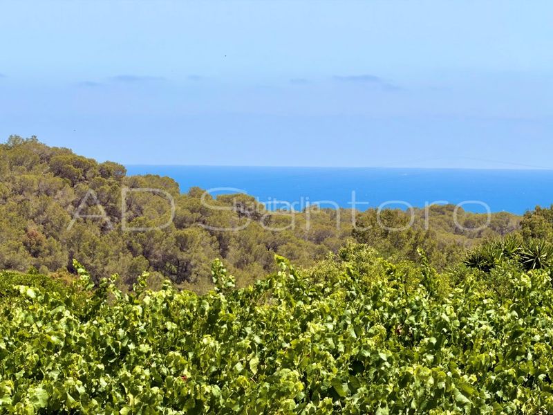 Foto 5dd06121-bffe-4bfe-888b-e90dff072709. Casa amb aparcament a Mas d´En Serra - Els Cards Sant Pere de Ribes