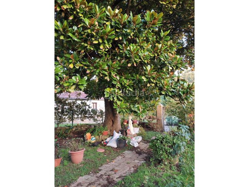 Foto b8b0bc16-7334-4ca2-88de-43766f5057cf. Maison dans la iglesia 2 dans Entrambasaguas