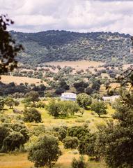 Propriété à N/a. Parcela en "finca la basílica" perteneciente al club "equestrial