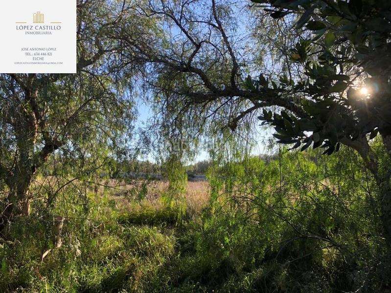 Foto 6a961692-88a9-48f6-ac44-fdbf1dcc27c3. Rent chalet with pool in Pedanías Este Aspe