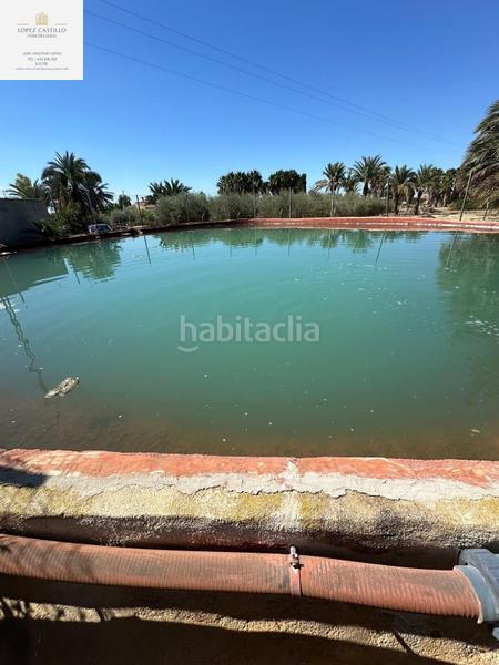 Foto 753fe91e-25ee-46ed-a1e0-727a314c1fc9. Propriété dans La Algoda - Matola - Llano de San José Elche / Elx