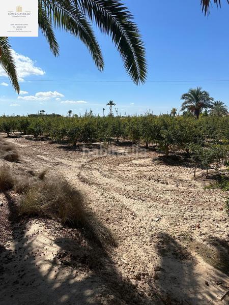 Foto 9fb668ea-6f42-4cab-b824-d13dd4bbdd24. Propriété dans La Algoda - Matola - Llano de San José Elche / Elx