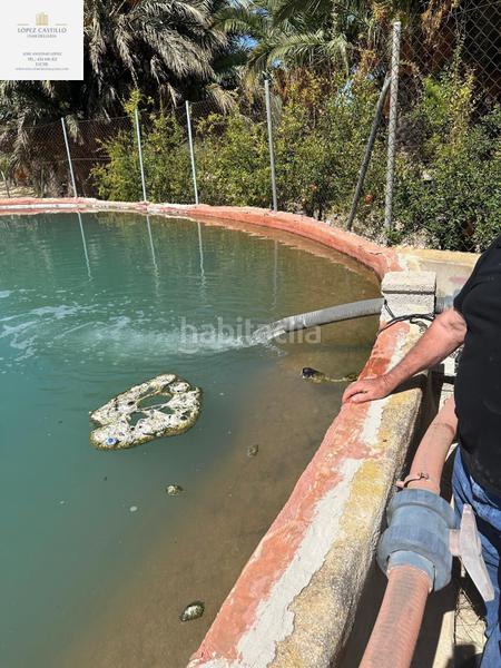 Foto a6fb742e-6d76-41cb-8209-33cf141030a1. Propriété dans La Algoda - Matola - Llano de San José Elche / Elx