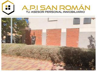 Lloguer Local Comercial a Francisco salzillo 7