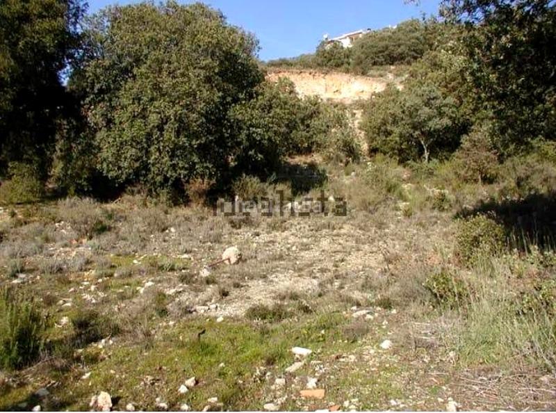 Foto cefa8bef-5487-4e6b-bfbf-fa3069e22173. Terreno residencial en Fuentenovilla