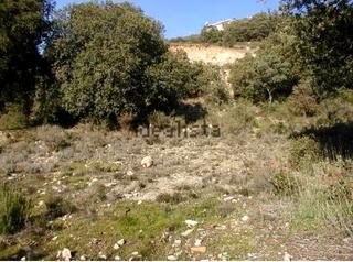 Terreno residenziale  Las fuentes