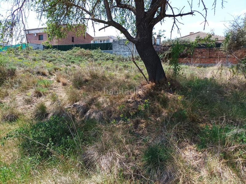 Foto ba52011f-1cce-4dd0-81e2-4853eb4e1120. Terreno residencial en Castellgalí