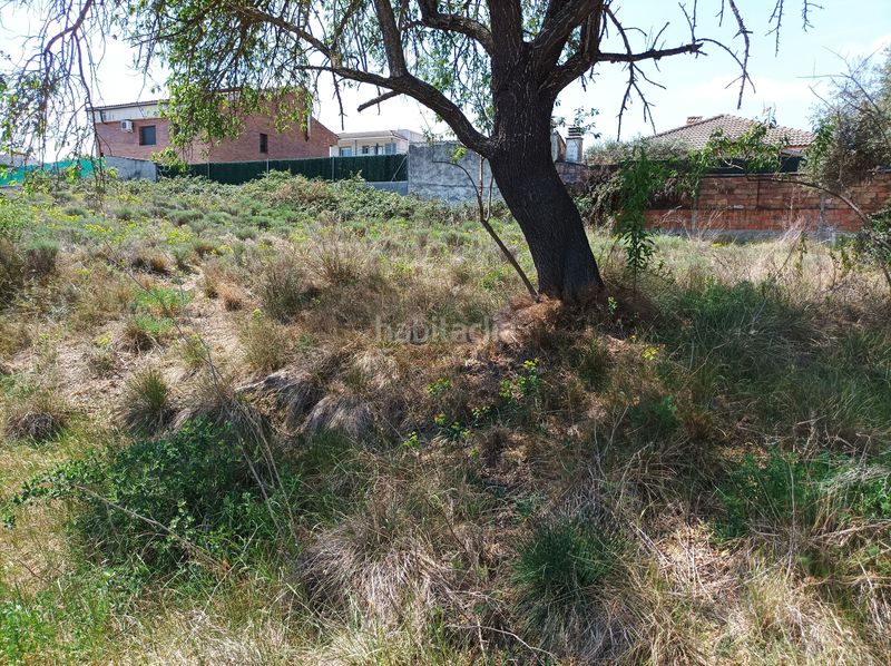 Foto ba52011f-1cce-4dd0-81e2-4853eb4e1120. Terreno residenziale in Castellgalí