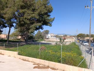 Terrain résidentiel à Carrer bellavista-d 24. Magnifico solar en la parte más alta de la urbanización de bella