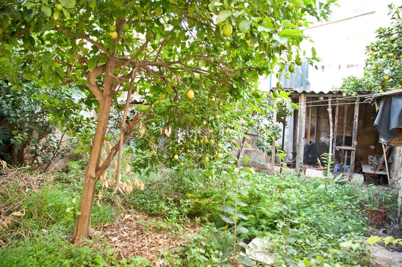 Foto 4aeea94c-b763-485f-861f-f79d5479f083. Appartamento in La Soledat Nord Palma de Mallorca