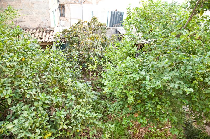 Foto 66f6c05b-c2f9-4390-96ba-c82803dd79b2. Appartamento in La Soledat Nord Palma de Mallorca