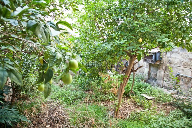 Foto cca81628-9e4c-4bf9-adf0-24203cf330ab. Appartamento in La Soledat Nord Palma de Mallorca