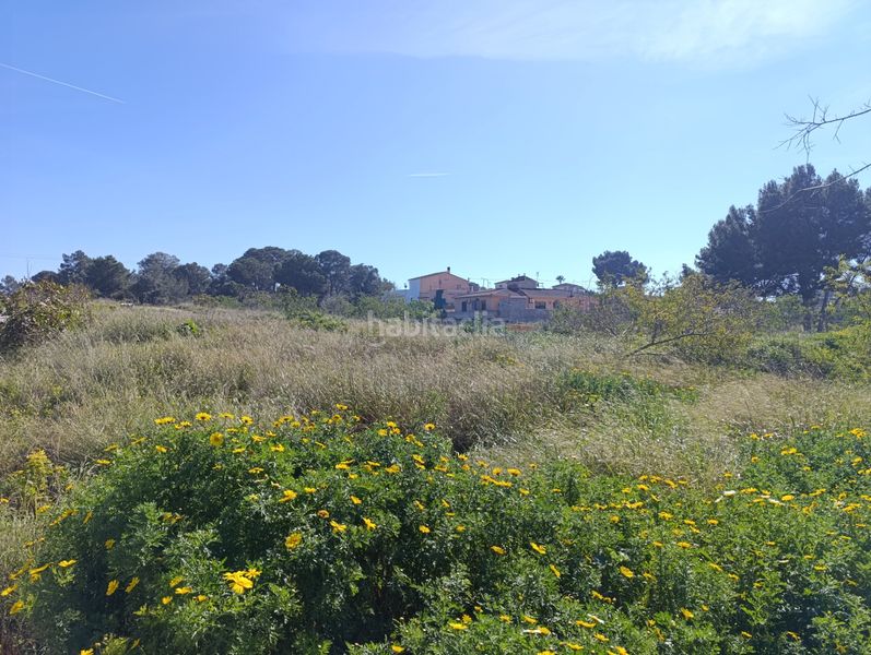 Foto 4be289cb-7047-4765-ad16-39a843b91cd7. Terreno residenziale in carrer bellavista-a 24 in Palma de Mallorca