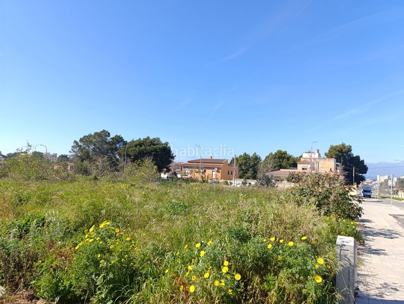 Foto fdb1eec4-5576-4916-babc-a823da2ddb5d. Terreno residenziale in carrer bellavista-a 24 in Palma de Mallorca