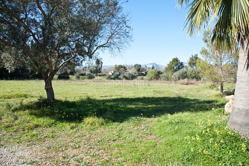 Foto 003911b5-fc28-4b31-84c0-aa5c65630fd0. Bauernhof mit heizung parking in Zona Periurbana Inca