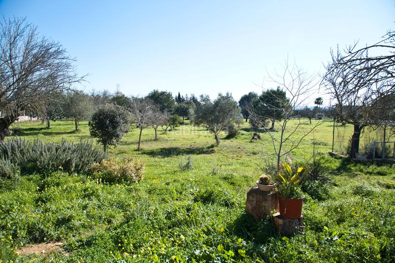 Foto 48aef5e8-a30f-48ad-8e59-6ab9c5fa7d69. Bauernhof mit heizung parking in Zona Periurbana Inca