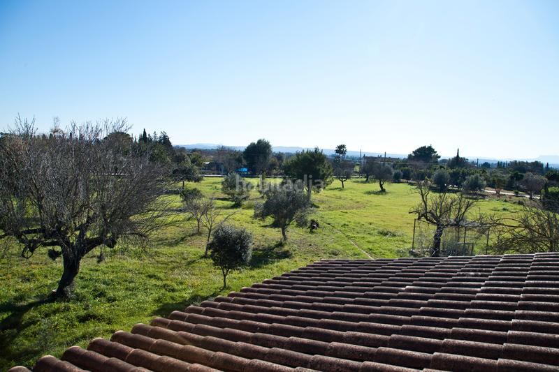 Foto 83464fc0-9829-4a28-9672-1de41a6f37ca. Bauernhof mit heizung parking in Zona Periurbana Inca