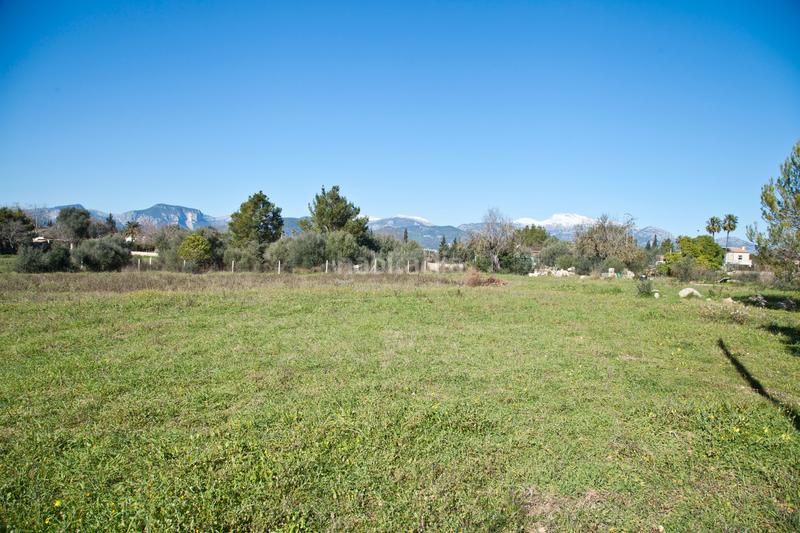 Foto b18ec345-c667-4818-9582-01eae775ba60. Bauernhof mit heizung parking in Zona Periurbana Inca