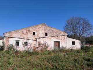 Mas dans Diseminado poligono 10 155. Fantstica finca rstica en inca de 9400m2