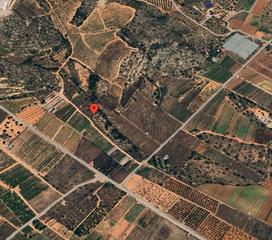 Finca rústica a Carrer del forn 13. Venta de finca rústica en benijou -pol.9 nº 55 torreblanca (cast