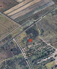 Finca rústica a N/a. Venta de finca rústica en bovaret, pol 5, parc 263 nº 0 nules (c