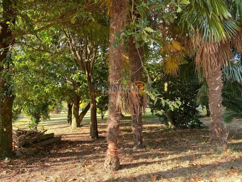 Foto 5e059786-4009-4837-a87b-2e90a8112e89. Chalet en O Carril Vilagarcía de Arousa