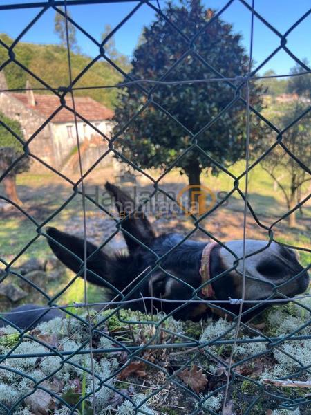 Foto 3dccbc6a-d4d7-47b8-8f13-d57d718e471b. Country house with parking in Parroquias Rurales Pontevedra